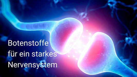 Botenstoffe für ein starkes Nervensystem - Neurotransmitter