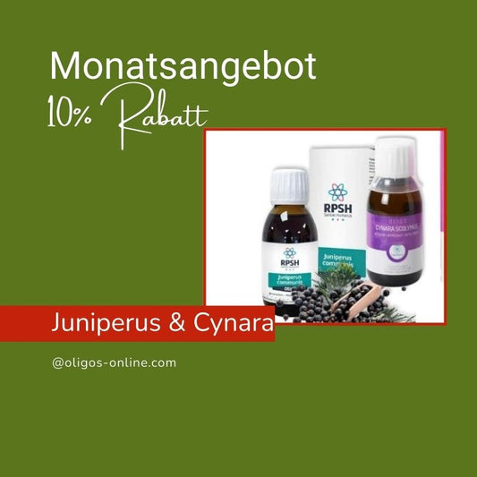 Monatsangebot Juniperus Cynara