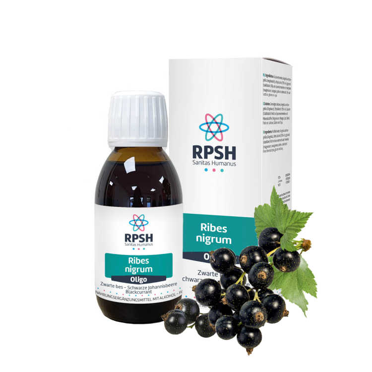 Oligo Ribes nigrum  (Schwarze Johannisbeere)