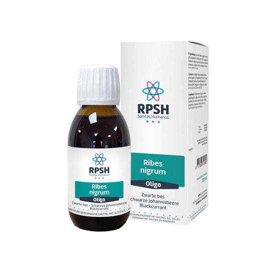 Oligo Ribes nigrum  (Schwarze Johannisbeere)