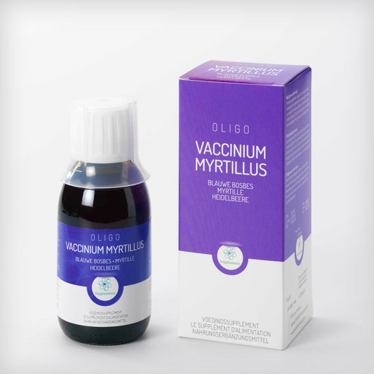 Oligo Vaccinium myrtillus - Heidelbeere